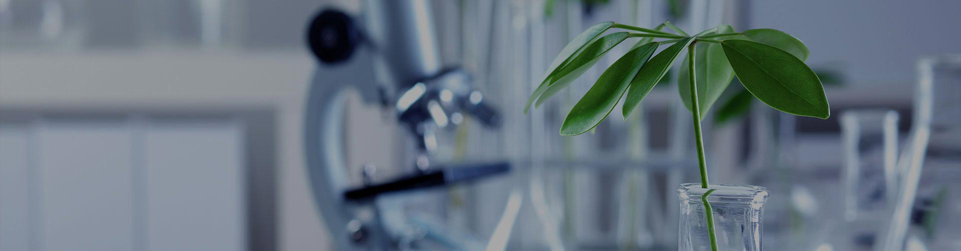 创新(xīn)前沿生命科(kē)技(jì )，服務(wù)人类健康。