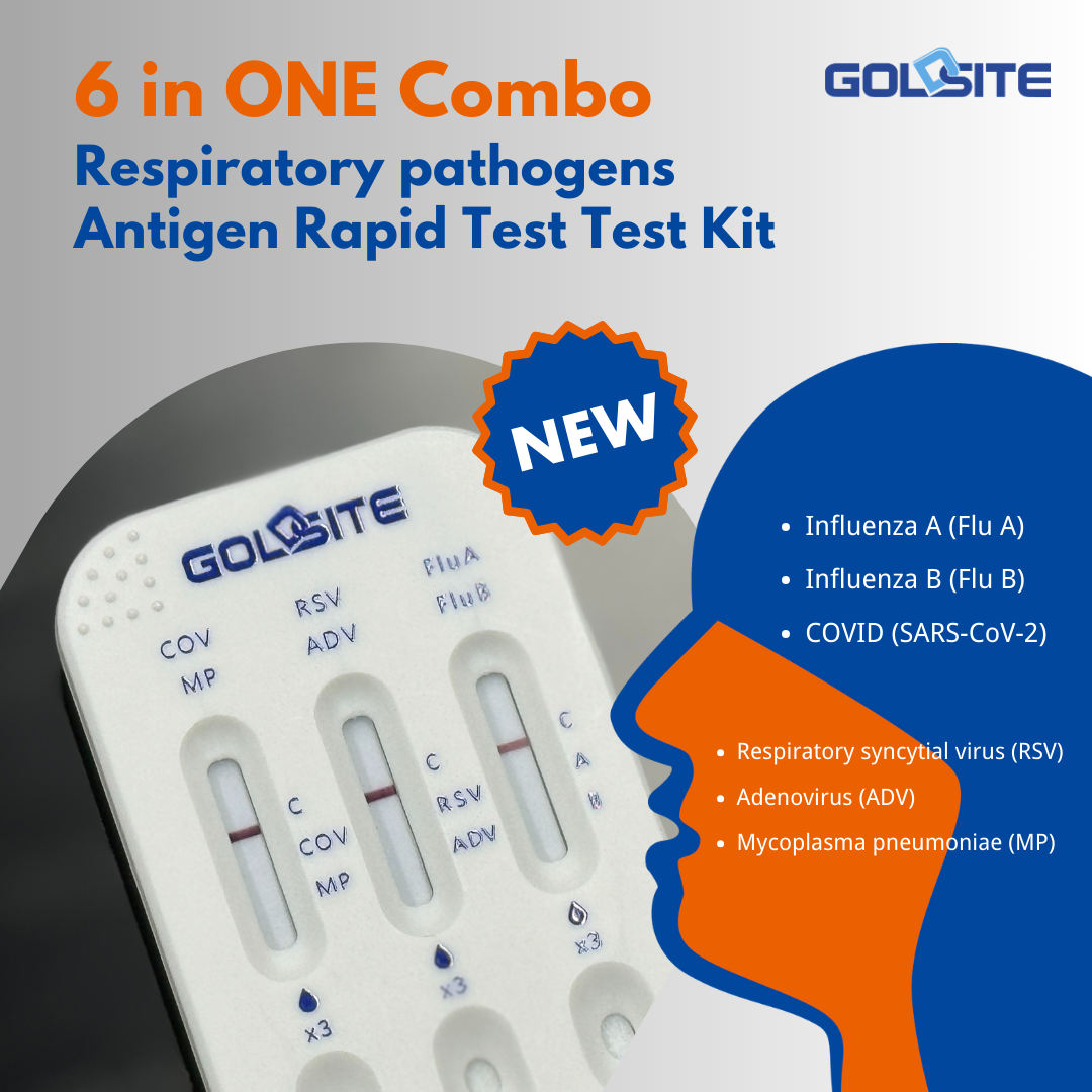 goldsite 6 in one combo 3 Goldsite 6 في التحرير والسرد واحد 3