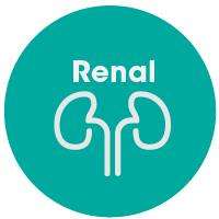renal